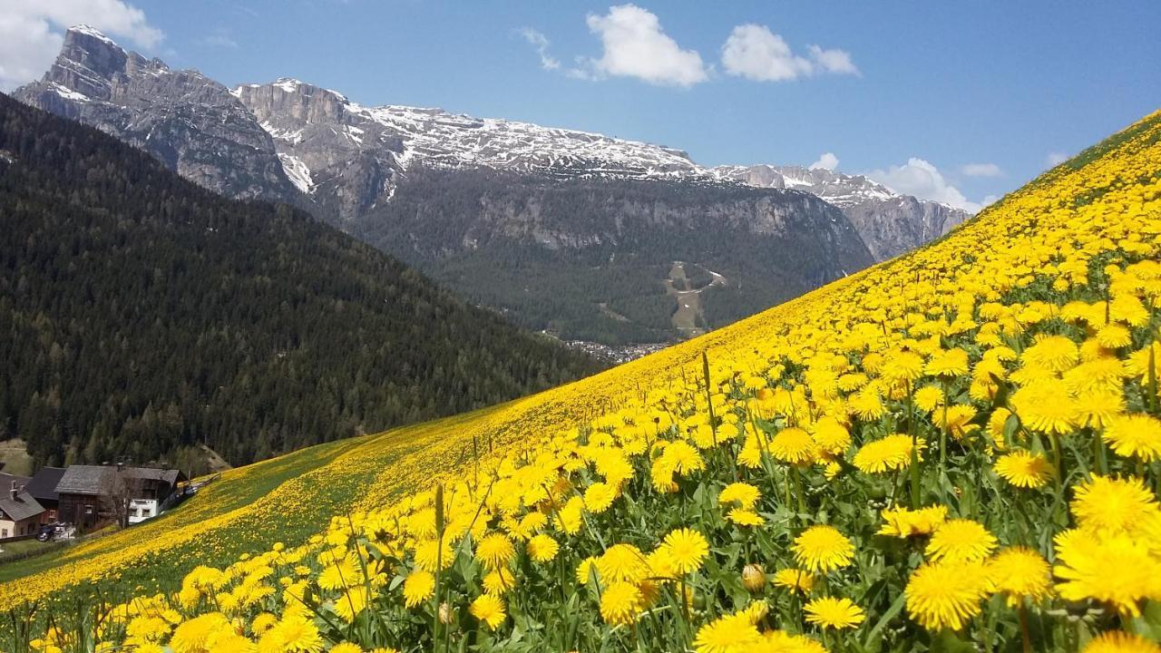 Apartment Ambria La Villa (Trentino Alto Adige)